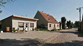 Nietoperek