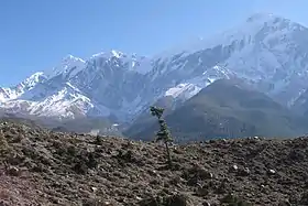 Vue du Nilgiri