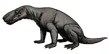 Reconstitution détaillé d'un gorgonopsien.
