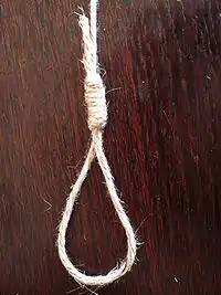 Ce nœud de pendu est fait avec de la ficelle. La corde est recommandable pour éviter les effets de torsion et de frottements.