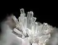 Groupe de cristaux de noséane (Vue : 3&nbsp;mm) -