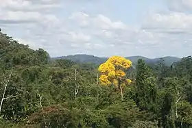 Almeirim (Pará)