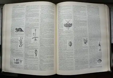 Organisation des articles.
