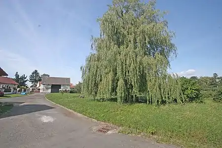 Nový Dvůr.