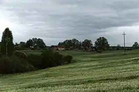 Nowaczyzna