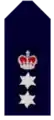 New South Wales Police Force (Australie).