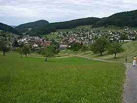 Nunningen