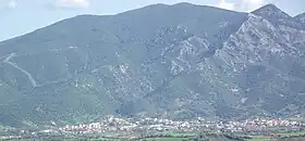 Nuxis