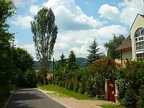 Nyék