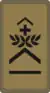 OR-6 - Sergent-chef
