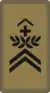 OR-6 - Sergent-major