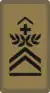 OR-7b - Sergent-major chef