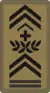 OR-9c - Adjudant-chef