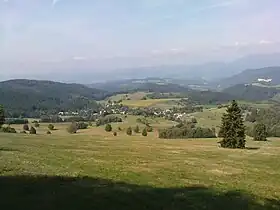 Povrazník