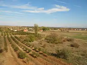 Oblačina