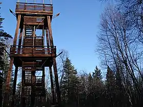 Tour observation au sommet du mont Baldy.