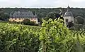 Château de Vollrads