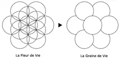Œuf de Vie