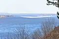 Vue des oies blanches sur le fleuve, depuis le village