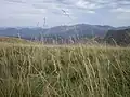 Vue du mont Okabe.