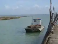 « Plate » ostréicole typique de celles circulant dans tout le bassin de Marennes-Oléron.