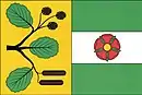 Drapeau de Olšovice