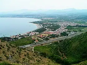 Oliveri