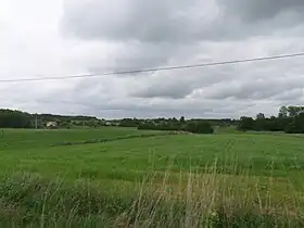 Olszowa (Mazovie)