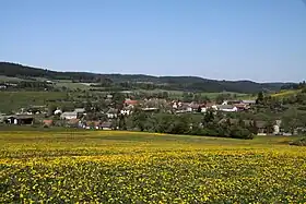 Čkyně
