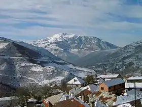 Orčuša