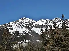Vue de la face est du crêt Fénère.