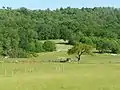 Massif de l'Arbre près de Fontéchevade.