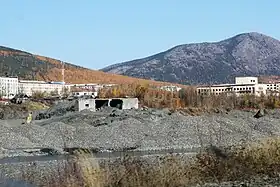 Orotoukan
