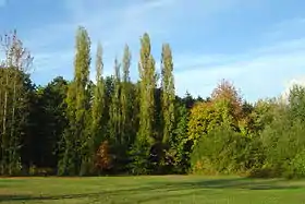 Image illustrative de l’article Parc botanique de Launay