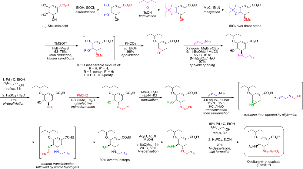 synthèse du Tamiflu