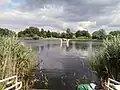 Le ferry d'accès à l'île d'Ostrów Lednicki.