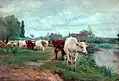 Bétail (Cattle).
