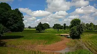 Champs à Ounet.