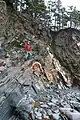 Anticlinal dans la Halifax fm. (Nouvelle Écosse, Canada)