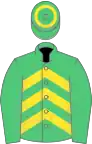 Chevronée vert et jaune, manches vertes, toque verte une ceinture jaune