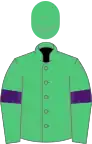 Verte brassards violets