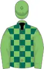 Light and dark green check, light green sleeves and cap