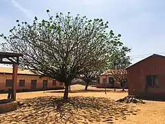 École primaire.