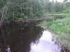 Pörölänmäki.