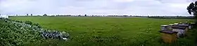 Płoskinia-Kolonia