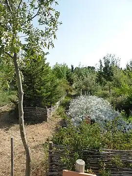 Le jardin