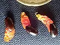 graines et élaïosomes d’Acacia mangium (en Guyane)