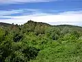 Carbasí