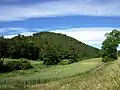 Carbasí.