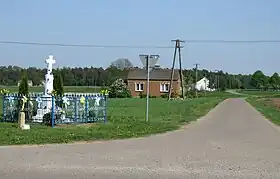 Petrykozy (Sierpc)